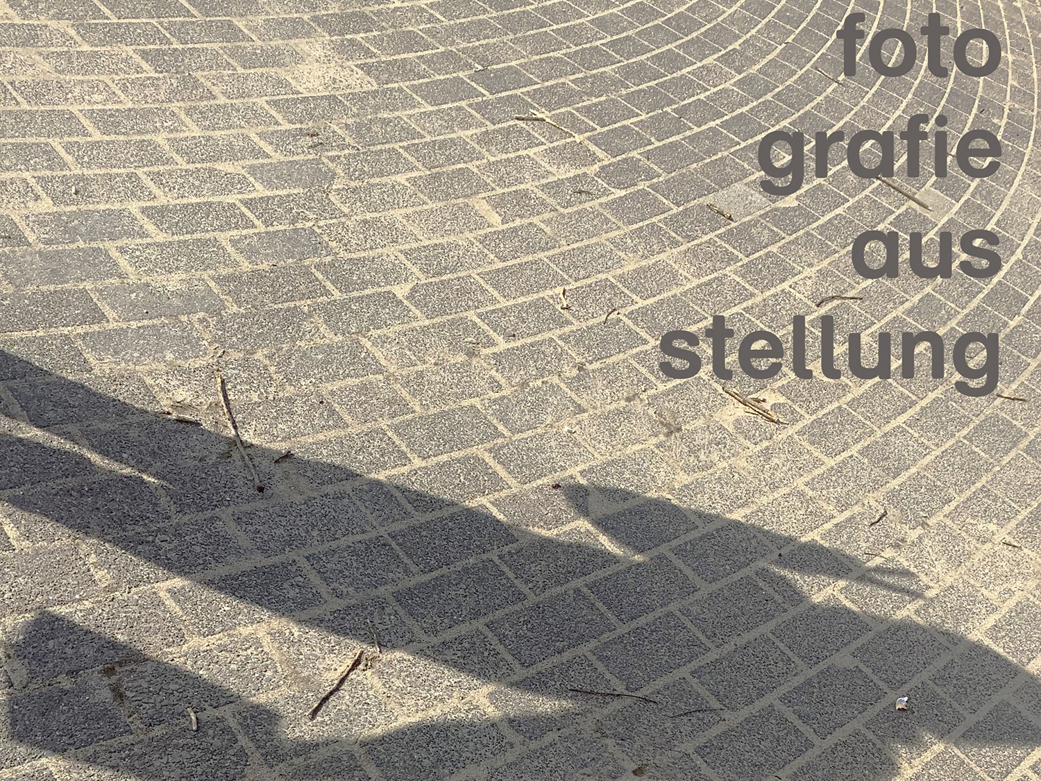 Klasse 7b behandelte Fotografie im Kunstunterricht