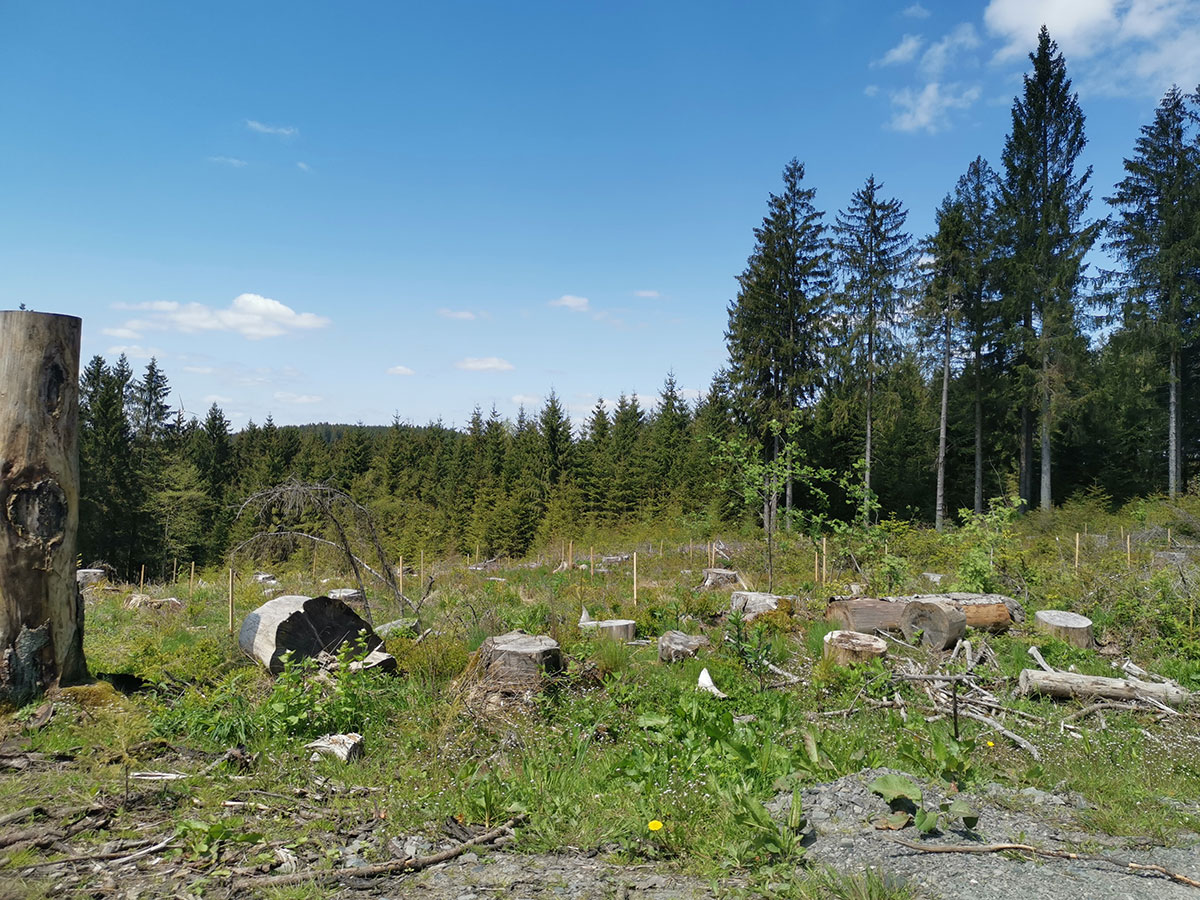 Woche der Klimaanpassung im Kreis Olpe